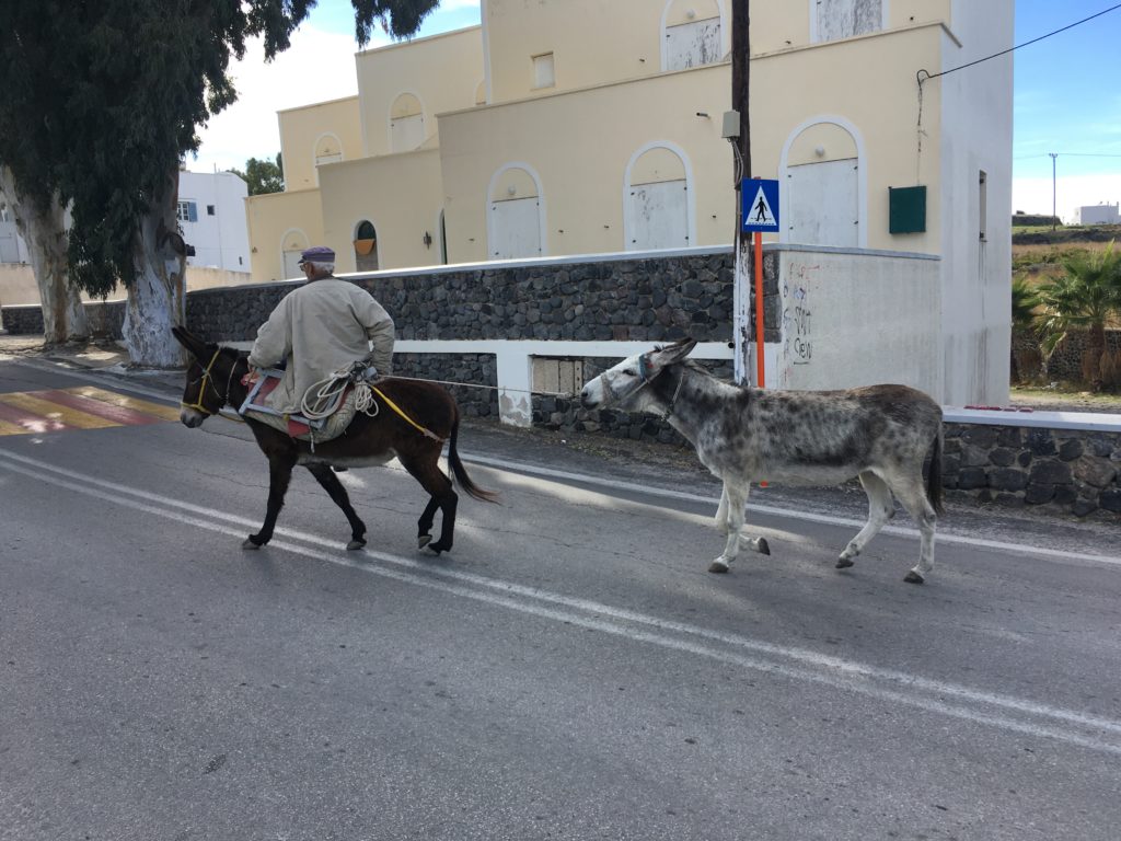 Vhotonas
