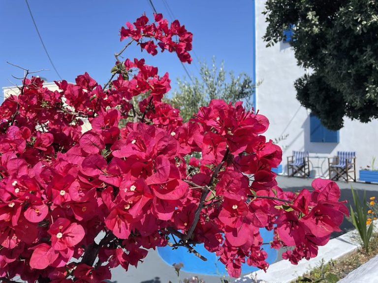 Santorini júniusban